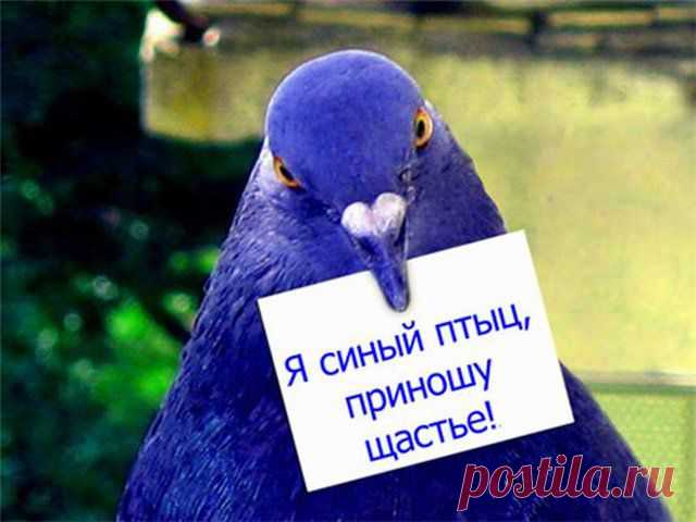 На самом ли деле вы счастливы?
	
Из чего складывается чувство счастья? Счастье — это так просто. Или не совсем просто? Что нужно для счастья? Чувствуете ли вы себя счастливым в этой жизни? Проверьте.