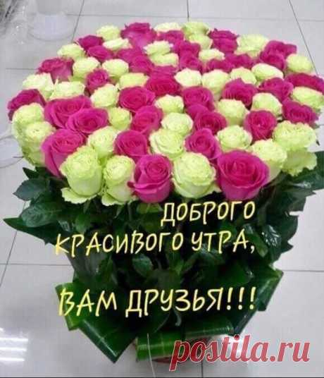 С ДОБРЫМ УТРОМ, ДРУЗЬЯ!
Доброе утро… Всего лишь два слова!
Но есть улыбка в ответ у любого…
Сразу светлее и всё позитивней,
Сложится день интересней, активней.
Сразу теплее и всё с настроением,
День приготовит удачу, везение!
Как-то уютней и вдруг понимаешь,
Что день настал... И его принимаешь!
Доброе утро... Всего лишь два слова!
Но говорить бы их снова и снова…
С доброй улыбкой и с сердцем открытым,
Эти слова от души говорите!
Божьих благословений на день грядущий!!!