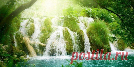 РАСА.