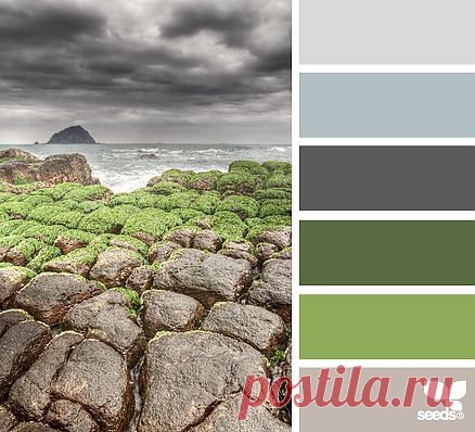 Design Seeds® | find your palette