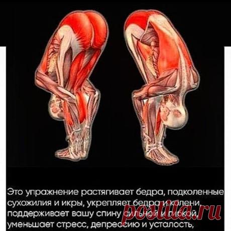 Нет описания фото.