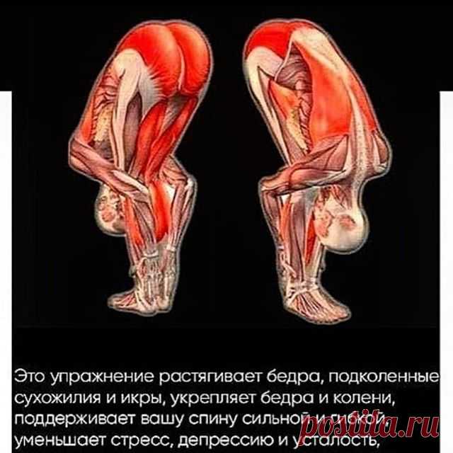 Нет описания фото.