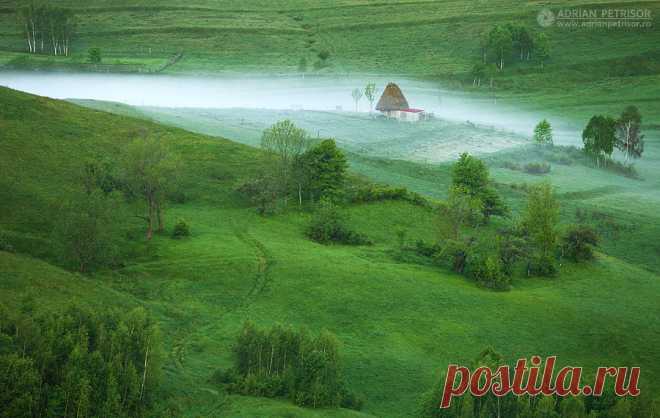 Творчество фотографа Adrian Petrisor | Newpix.ru - позитивный интернет-журнал