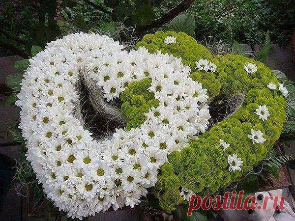 Великая Мудрость - Ждать; Огромное Счастье - Верить;
И чувствовать, что опять Надежда откроет двери.
Крепиться, когда нет сил, и слезы, сглотнув, смеяться,
И, падая, не просить, и верить, и не бояться...
И твердо, и точно знать - Надежда откроет двери,
Когда научишься ждать и свято во что-то ВЕРИТЬ!!!