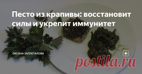 Песто из крапивы: восстановит силы и укрепит иммунитет Среди поклонников здорового образа жизни есть такое понятие, как дикоросы - это растения, которые съедобны, но не культивируются человеком, а растут в природе. При этом по своему витаминному и минеральному составу они незаменимы в нашем рационе, а порой и полезнее привычной покупной зелени, которая растёт на гидропонике и обрабатывается большим количеством пестицидов.
Одним из самых популярных