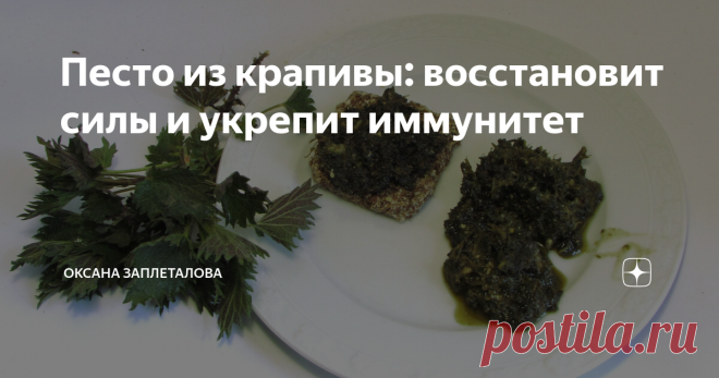 Песто из крапивы: восстановит силы и укрепит иммунитет Среди поклонников здорового образа жизни есть такое понятие, как дикоросы - это растения, которые съедобны, но не культивируются человеком, а растут в природе. При этом по своему витаминному и минеральному составу они незаменимы в нашем рационе, а порой и полезнее привычной покупной зелени, которая растёт на гидропонике и обрабатывается большим количеством пестицидов.
Одним из самых популярных