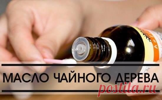 (99) Женская Беседка - ВОЛШЕБНОЕ МАСЛО ЧАЙНОГО ДЕРЕВА * ГОЛОВА *...