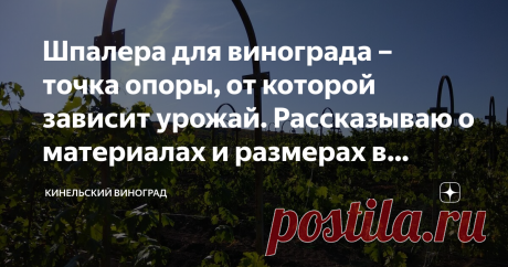Шпалера для винограда – точка опоры, от которой зависит урожай. Рассказываю о материалах и размерах в деталях Часто посетители нашего питомника просят дать точную информацию по организации шпалеры для винограда, думаю и читателям канала она может пригодиться. На самом деле, правильная подвязка, формировка куста, два определяющих фактора, от которых зависит урожай. Как вы обустроить виноград на участке, так он и ответит на ваши внимание и заботу. Пустите ситуацию на самотек...
