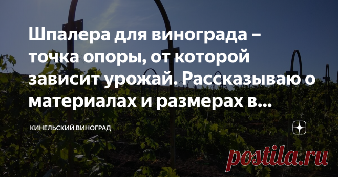 Шпалера для винограда – точка опоры, от которой зависит урожай. Рассказываю о материалах и размерах в деталях Часто посетители нашего питомника просят дать точную информацию по организации шпалеры для винограда, думаю и читателям канала она может пригодиться. На самом деле, правильная подвязка, формировка куста, два определяющих фактора, от которых зависит урожай. Как вы обустроить виноград на участке, так он и ответит на ваши внимание и заботу. Пустите ситуацию на самотек...