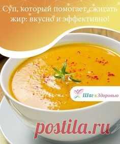 Жиросжигающий суп: худеем вкусно и эффективно! Диета