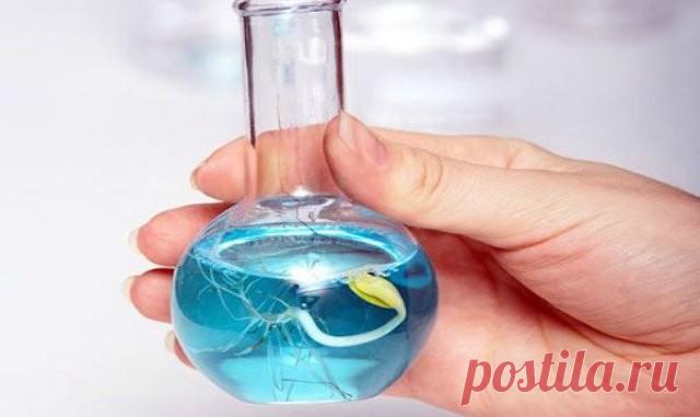 СУПЕРСТИМУЛЯТОРЫ ДЛЯ ДРУЖНОГО ПРОРАСТАНИЯ СЕМЯН
	
Сейчас уже многие огородники достали свои запасы семян и готовят их к посадке. А если вы примете советы нашего агронома Андрея Лозового, то всходы будут дружнее, а рассада – здоровее.

– Можно просто посеять семена в подготовленный грунт и получить терпимую всхожесть. Но если каждое семечко на счету, то будет нелишним обработать их специальными стимуляторами. Тогда взойдут почти все растения. К тому же все всходы будут разв...