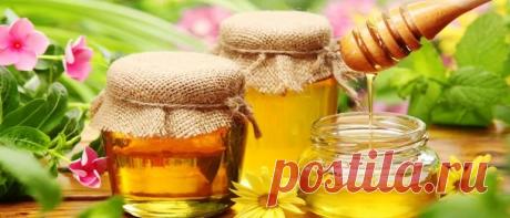 Медовый Спас в 2020 году: какого числа будет, традиции и приметы