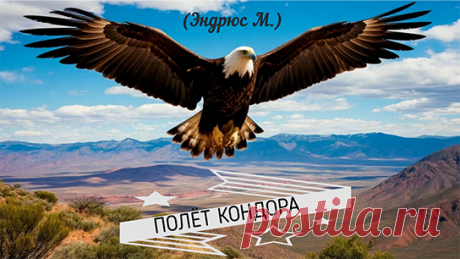 ПОЛЁТ КОНДОРА
Исследование живой природы Анд