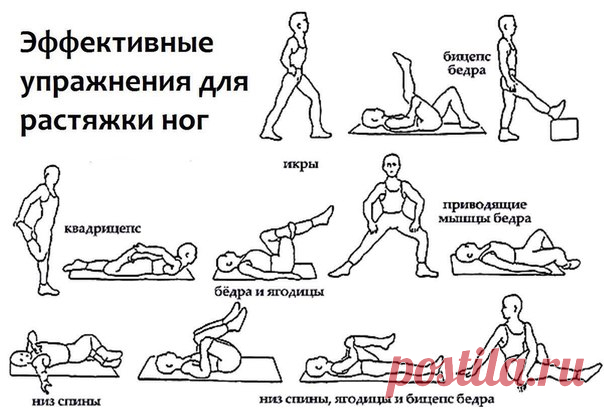РАСТЯЖКА ПРОТИВ СУДОРОГ И СПАЗМОВ