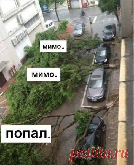 Диалоги
