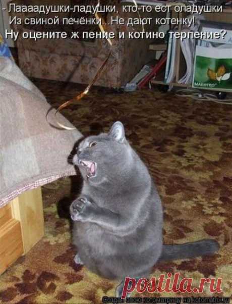 Обхохочешься