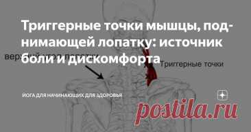 Триггерные точки мышцы, поднимающей лопатку: источник боли и дискомфорта Статья автора «Йога для начинающих для здоровья» в Дзене ✍: Триггерные точки, формирующиеся в мышце, поднимающей лопатку (m.