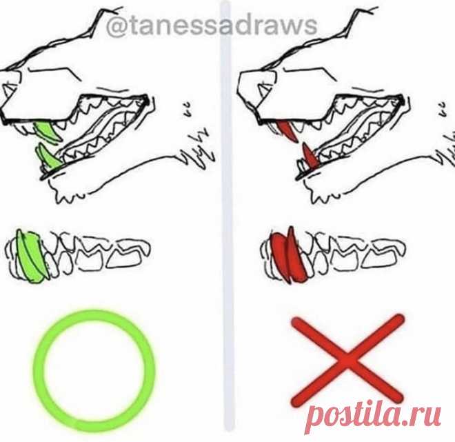 Клыки волка, собаки. Как правильно рисовать.