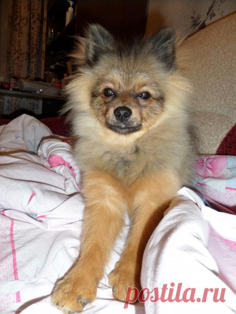 Мишке 5 месяцев