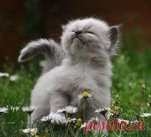 Какой чудесный день!... Какой чудесный Я! ...