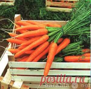 Продам Биоудобрение 