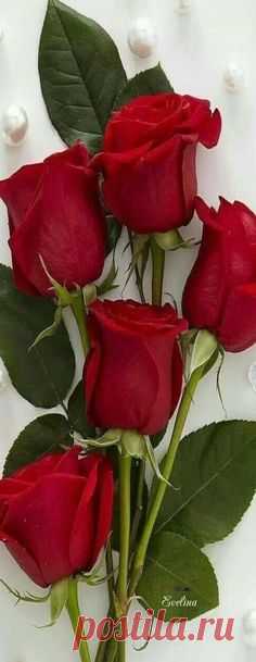 Pinterest • Всемирный каталог идей