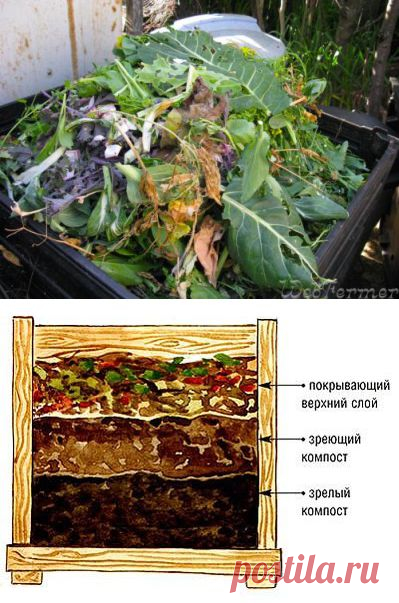 Как сделать компост | Наш дом