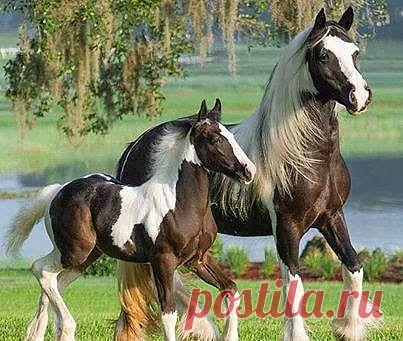 Передача опыта...