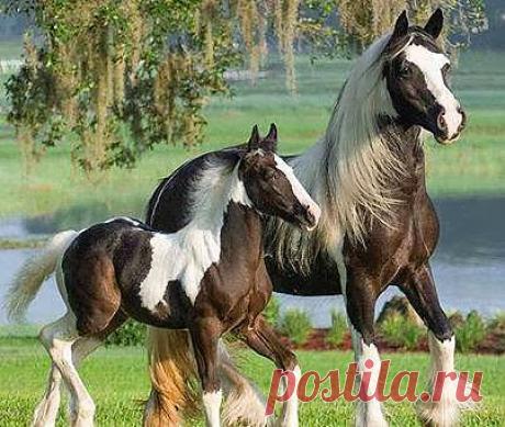 Передача опыта...