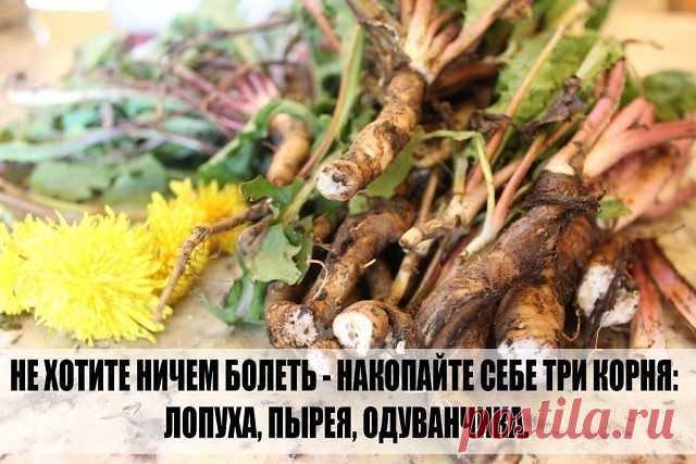 (5) Одноклассники