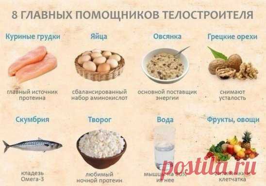#питание