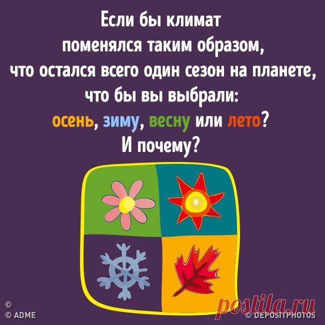 Что бы вы выбрали?: