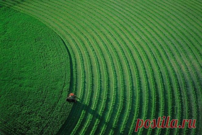 Как рассчитывали кадастровую стоимость земельных участков в Московской области