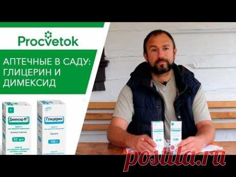 Дадим бой ВИРУСАМ РАСТЕНИЙ! На что способны Димексид и Глицерин. Усилители для обработки растений.