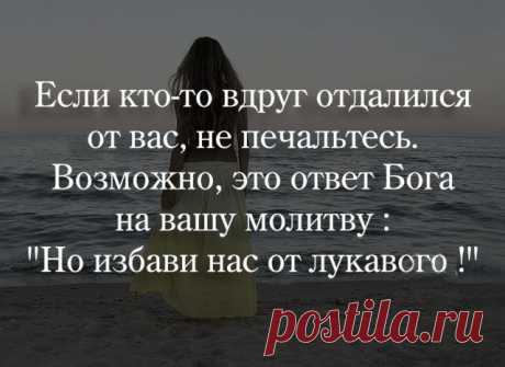 Кто и как покидает лису в трудные времена ....