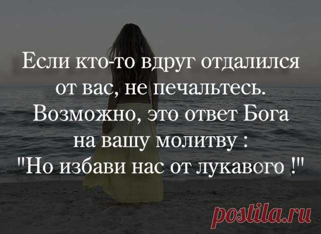 Кто и как покидает лису в трудные времена ....