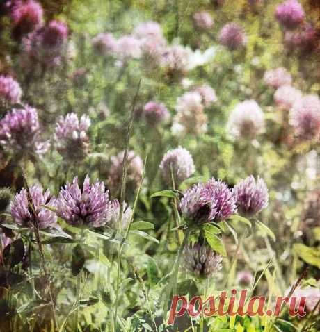 Dominic Moriarty Photography - Fine Art Photography, For Sale | Gallery