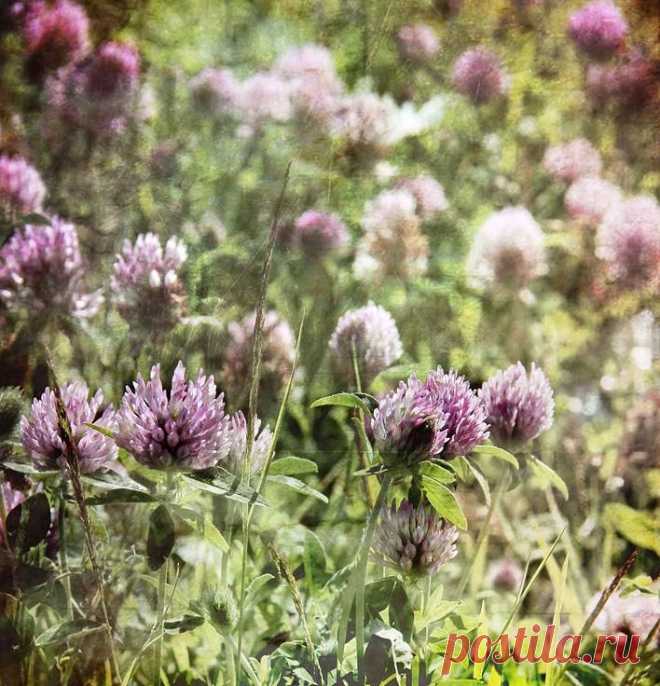Dominic Moriarty Photography - Fine Art Photography, For Sale | Gallery