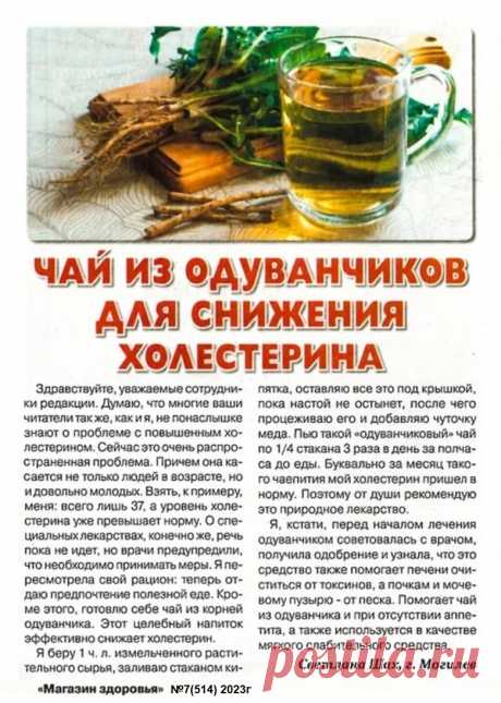 Чай из одуванчиков для снижения холестерина