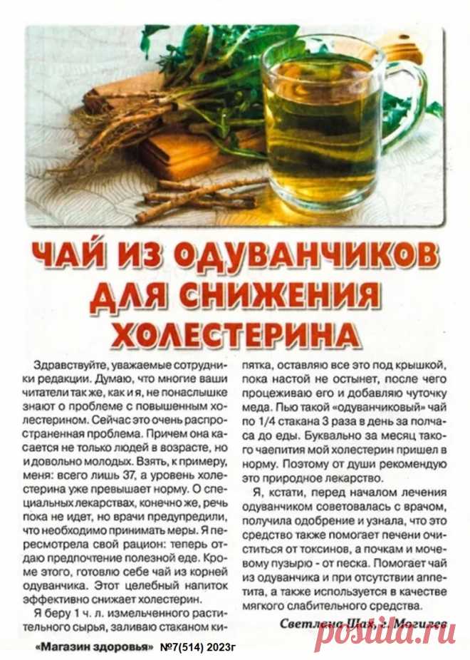 Чай из одуванчиков для снижения холестерина