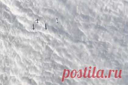 Одновременный сброс четырех умных бомб показали на видео. Telegram-канал Fighterbomber показал одновременный сброс авиабомб ФАБ-500М62 с универсальными модулями планирования и коррекции (УМПК) с истребителя-бомбардировщика Су-34 на видео. На записи видны четыре умные бомбы, которые поочередно раскрывают крылья. Ранее каждый самолет мог нести только две ФАБ-500 с УМПК.