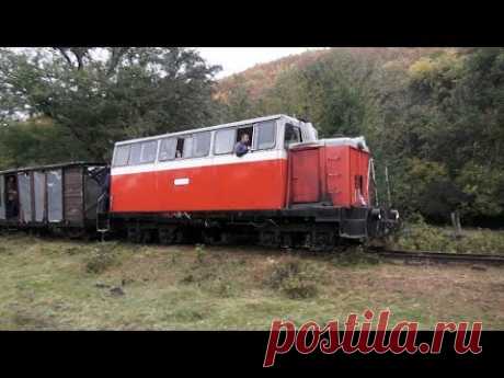 Жизнь в "Матрице": Апшеронская узкоколейка | НЕИЗВЕСТНАЯ РОССИЯ