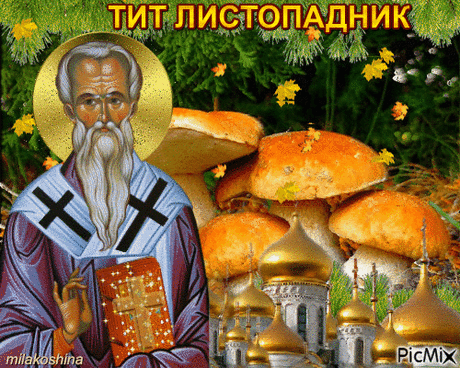Поздравляем с праздником Тита Листопадника! Желаем здоровья и хорошего самочувствия.
