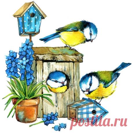 В зип папке огромное качество
