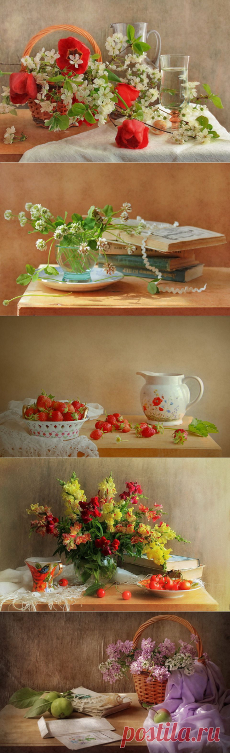 Натюрморты Ирины Дубовой (Луганск).