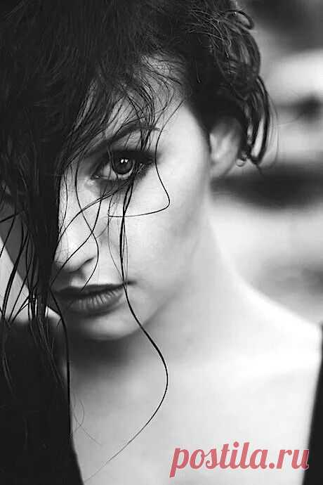 (206) Pinterest