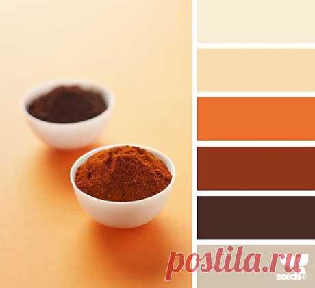 Design Seeds® | find your palette