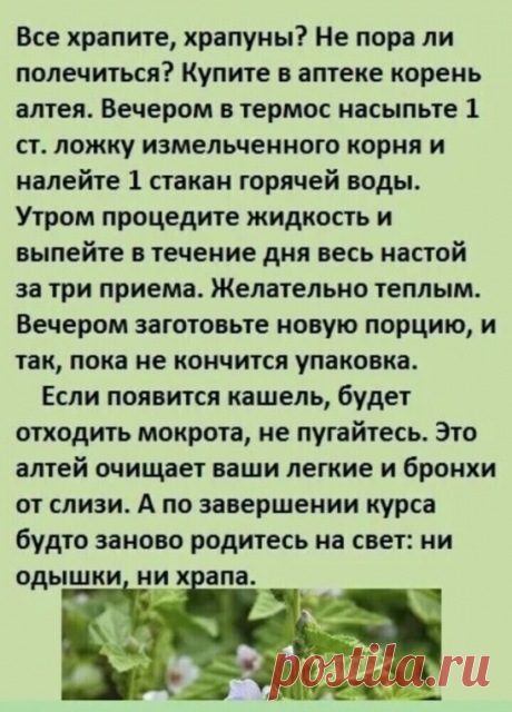 Средство от храпа.