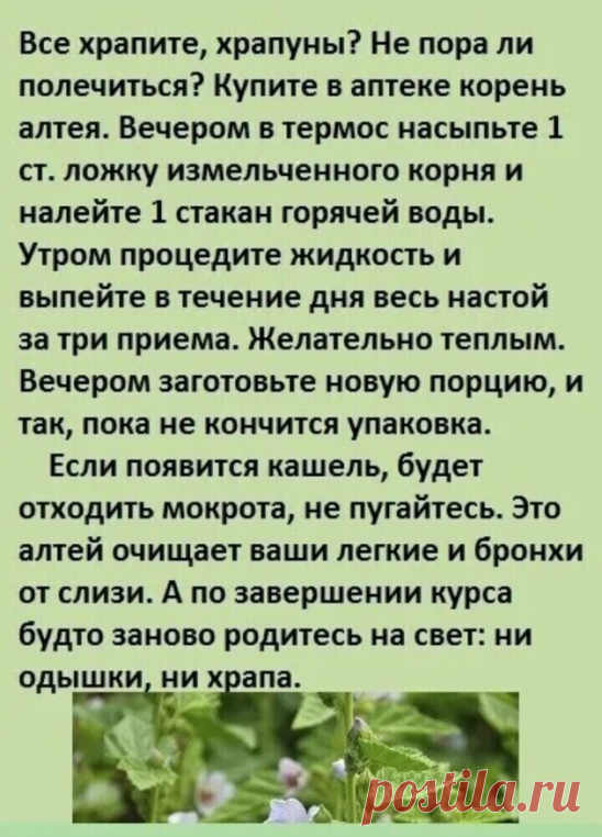 Средство от храпа.
