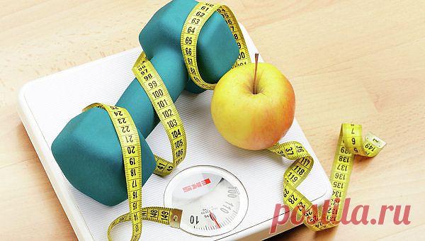 Простые способы борьбы с зимним обжорством | РИА Новости